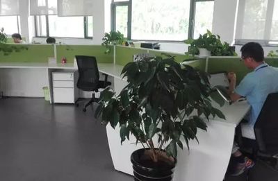 制造業信息化轉型的隱形引擎 信息咨詢服務的關鍵角色